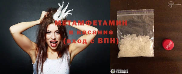 шишки Заволжье
