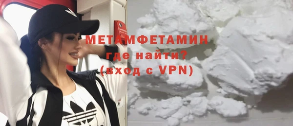 шишки Заволжье