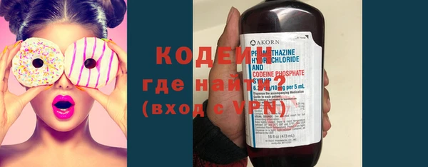 шишки Заволжье