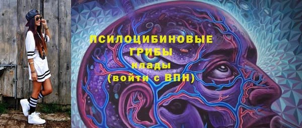 apvp Елабуга