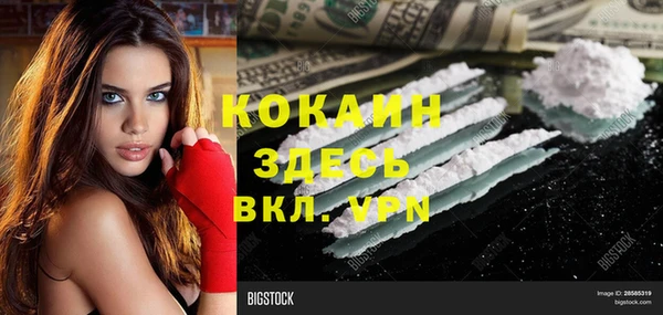 СК Сосновка