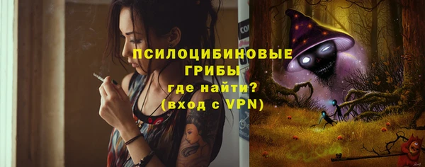 шишки Заволжье