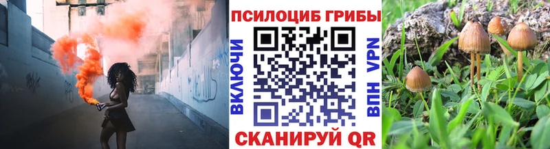 Галлюциногенные грибы Psilocybe  купить  сайты  Судак 