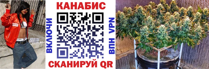 Канабис план  площадка состав  Судак 